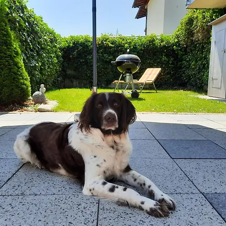 Kogler Fuegen